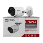 دوربین بولت DS-2CD2043G0-I